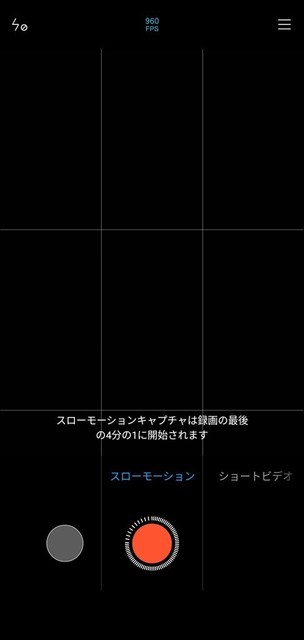 010.jpg