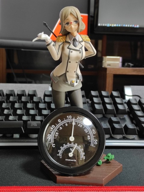 s-1614323505659.jpg