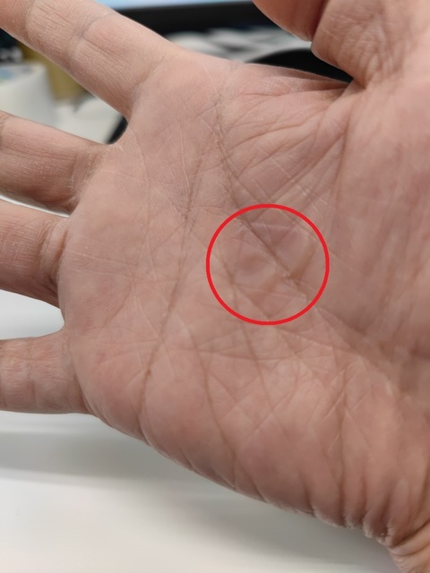 s-1677220529581.jpg