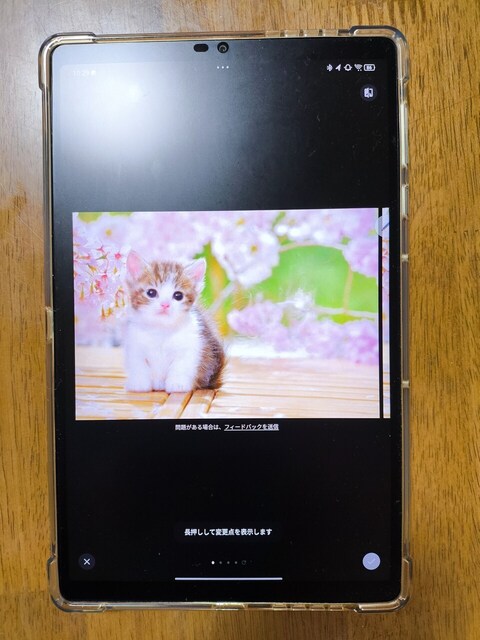 s-1744335011537.jpg