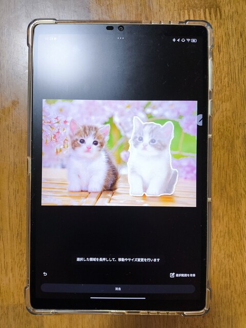 s-1744335011544.jpg