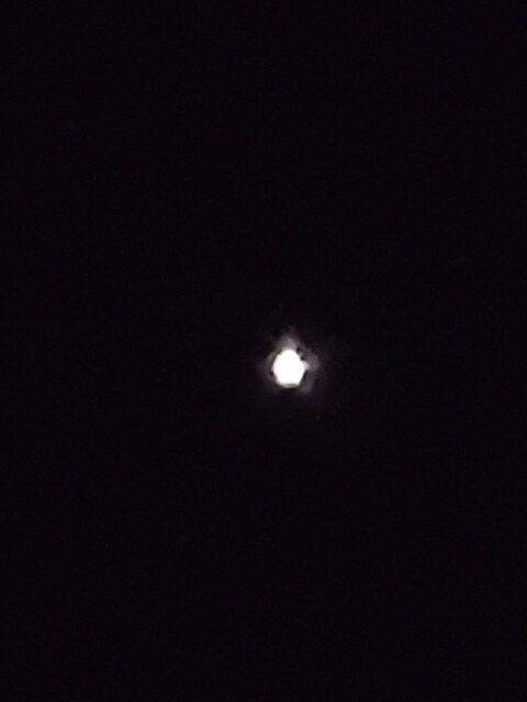 s-IMG_20250214_200023.jpg
